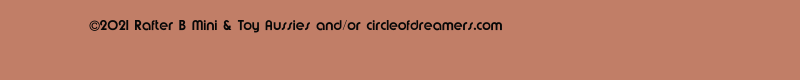 2021 Rafter B Mini & Toy Aussies and/or circleofdreamers.com