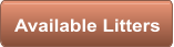 Available Litters