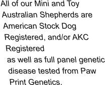 All of our Mini and Toy Australian Shepherds are American Stock Dog Registered, and/or AKC Registered as well as full panel genetic disease tested from Paw Print Genetics.