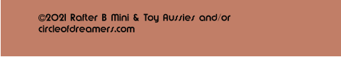 2021 Rafter B Mini & Toy Aussies and/or circleofdreamers.com