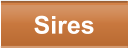 Sires
